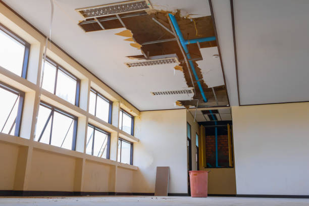 Best Sewage cleanup and water damage restoration  in West Lawn, PA