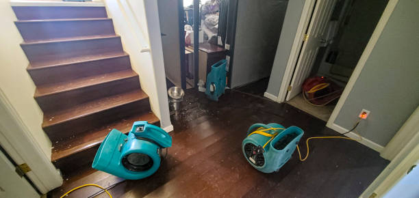 Best 24/7 water damage repair  in West Lawn, PA