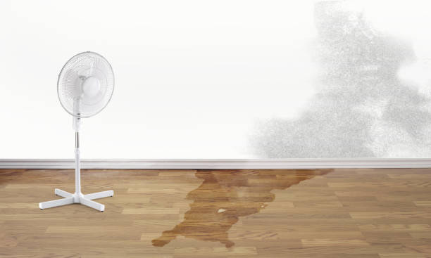 Best Water damage restoration near me  in West Lawn, PA