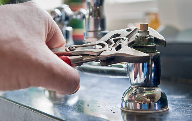 Best Mold removal after water damage  in West Lawn, PA