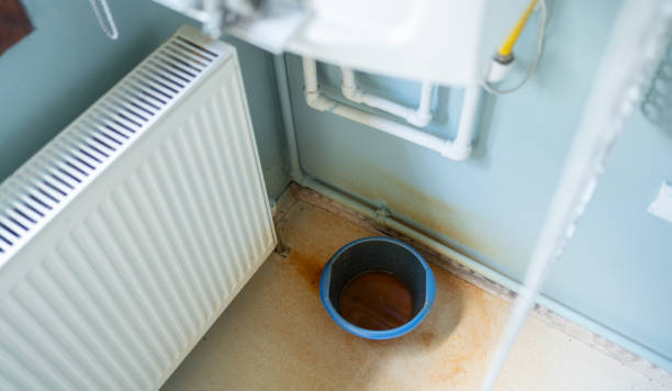  West Lawn, PA Water damage restoration Pros