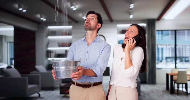 Best Water damage contractors near me  in West Lawn, PA