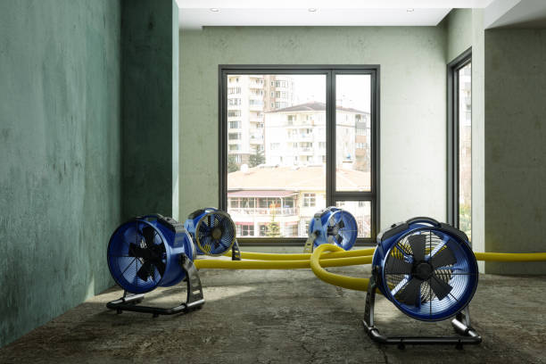 Best Professional water damage repair  in West Lawn, PA